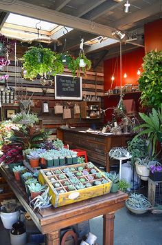 媽媽想開花店