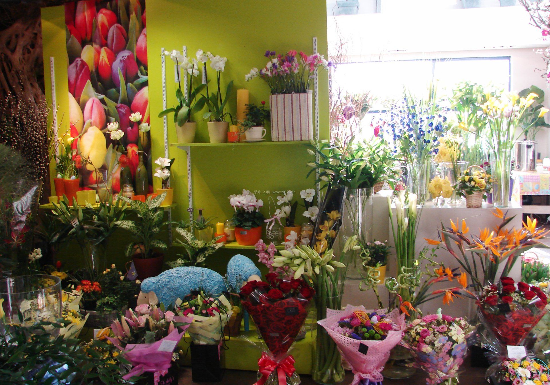 開一家花店 啟動預(yù)算與成本投資詳解