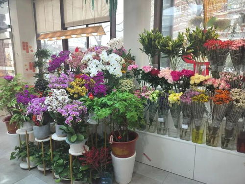 姹紫嫣紅年宵花，愛申活暖心春——花店上新迎新春